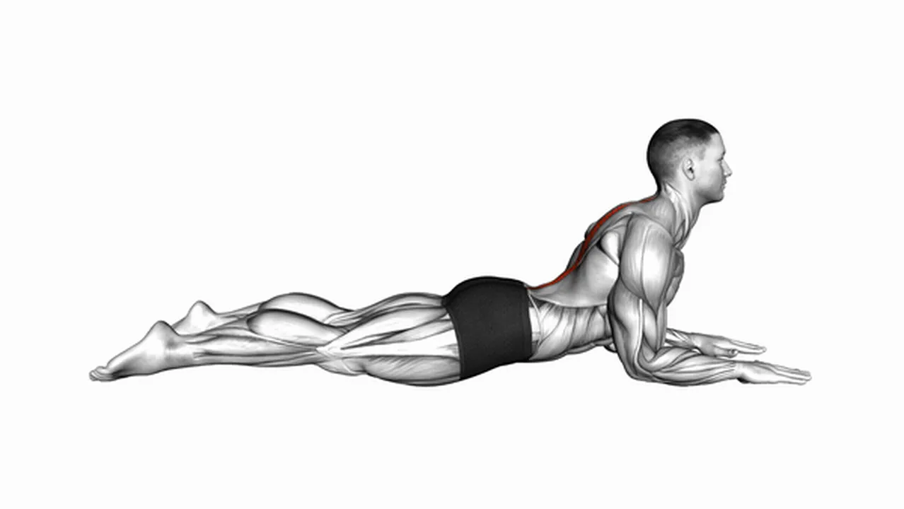 Common Sphinx Back Extension variations Image