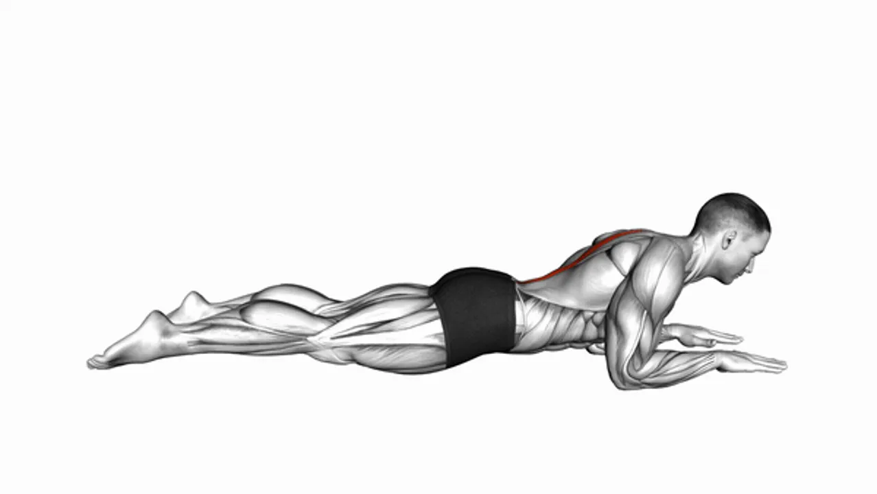 Sphinx Back Extension