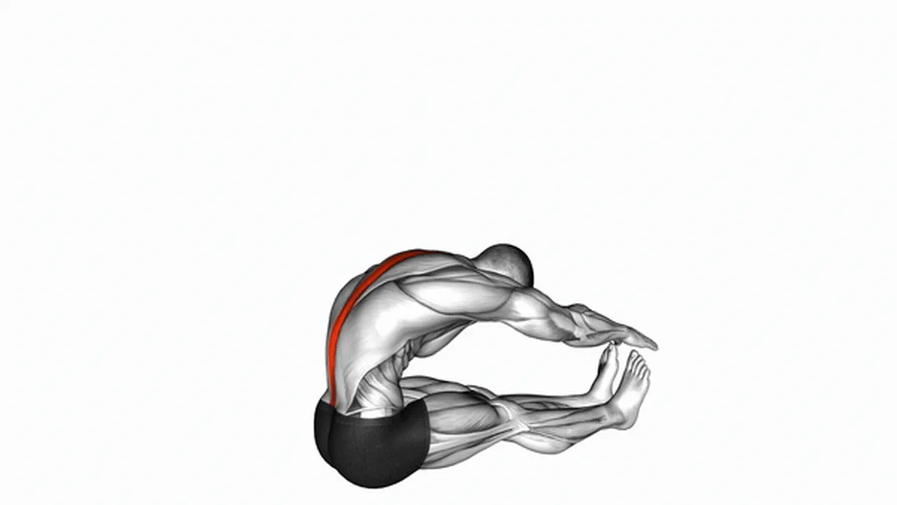 Alternatives to the Spine Stretch Image