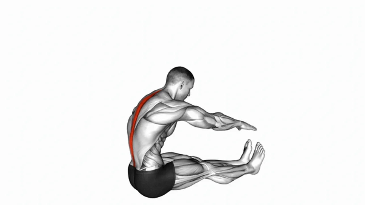 Spine Stretch