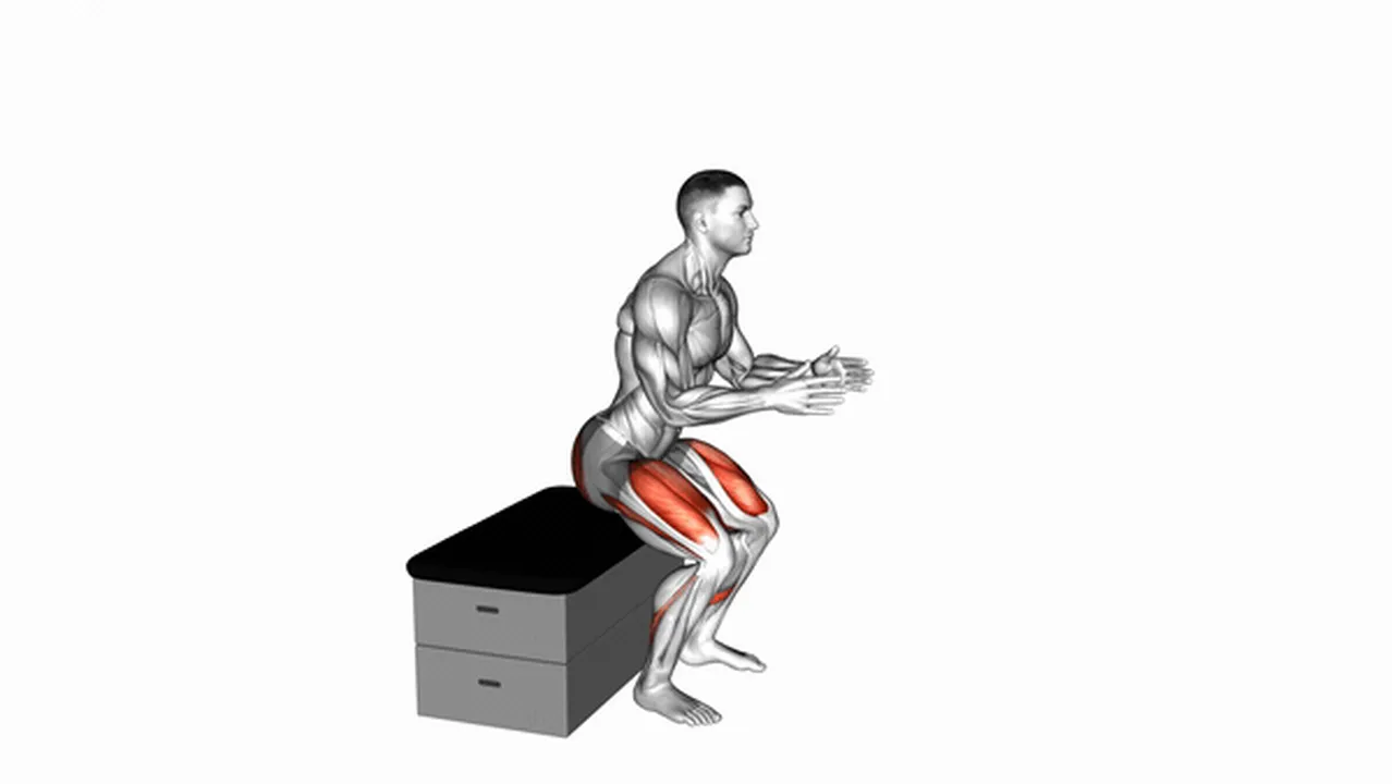 Alternatives to squat on a padded stool Image