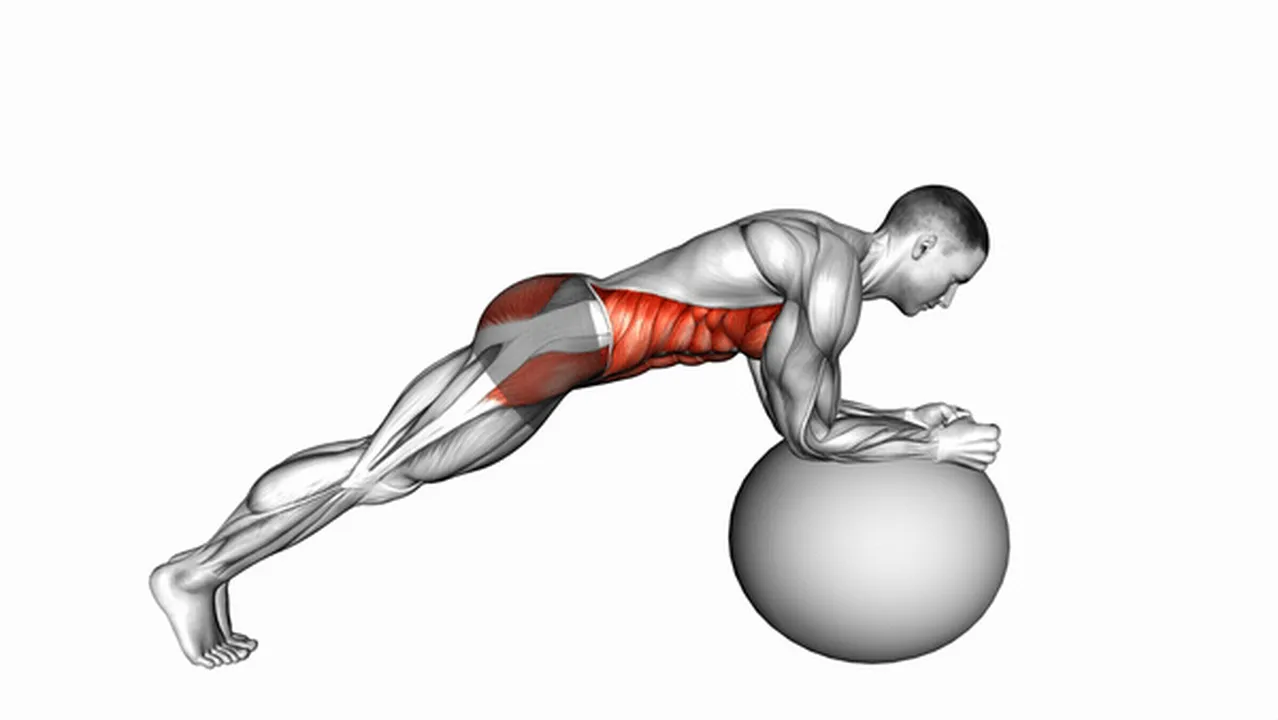 Common Stability Ball Front Plank variations Image