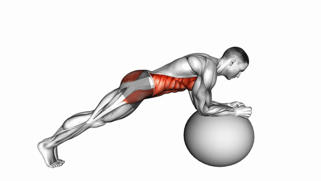 Stability Ball Front Plank