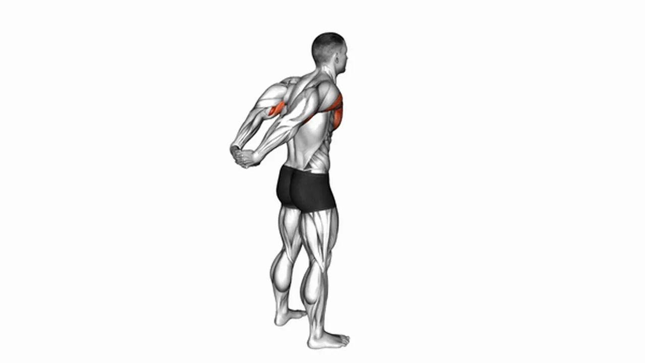 Alternatives to the Standing Reverse Shoulder Stretch Image