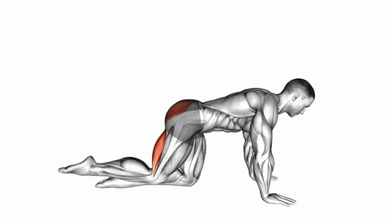 Common straight leg kickback variations Image