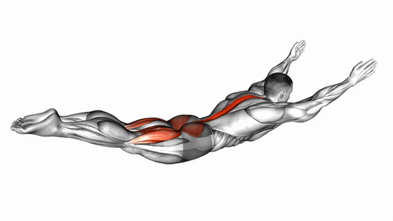 Common Superman exercise variations Image