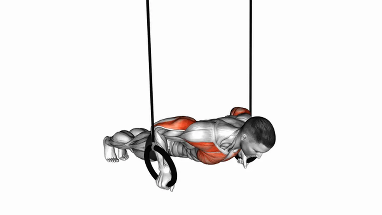 Common suspended push-ups variations Image