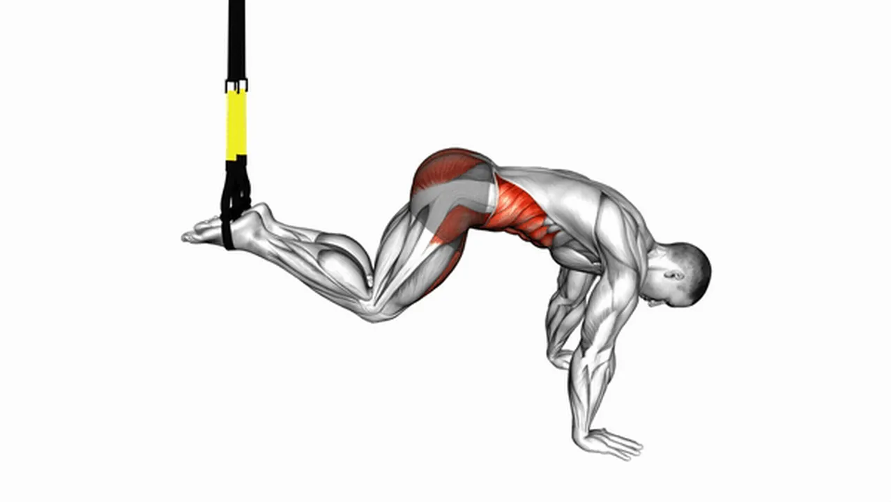 Common mistakes during Suspender Reverse Crunch Image