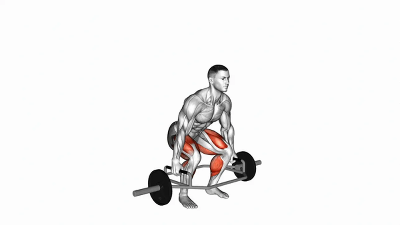 Alternatives to trap bar deadlifts Image