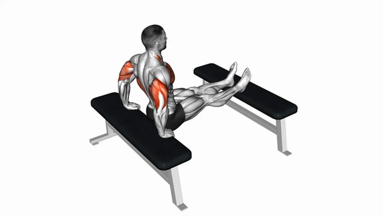 What are the benefits of triceps dips? Image