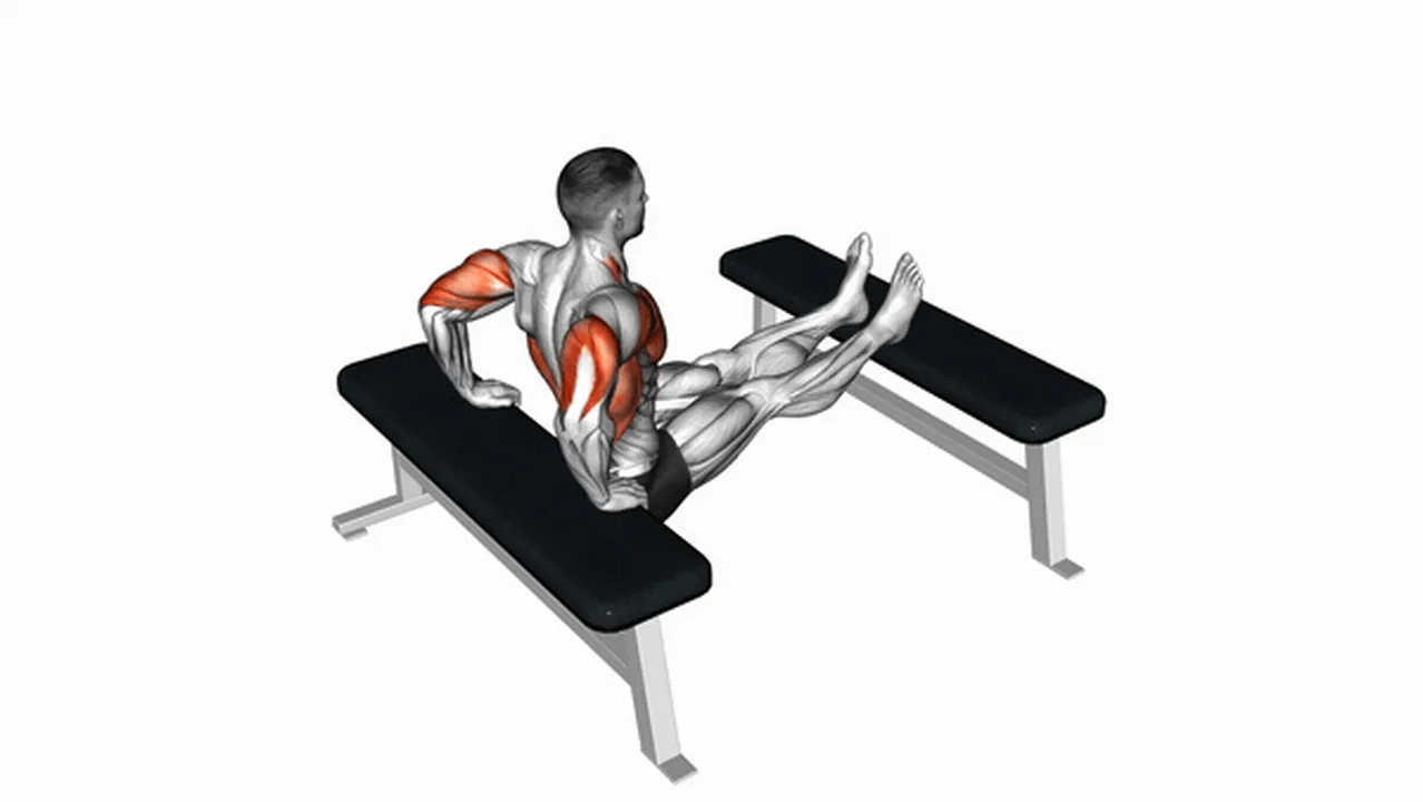 Common variations of triceps dips Image