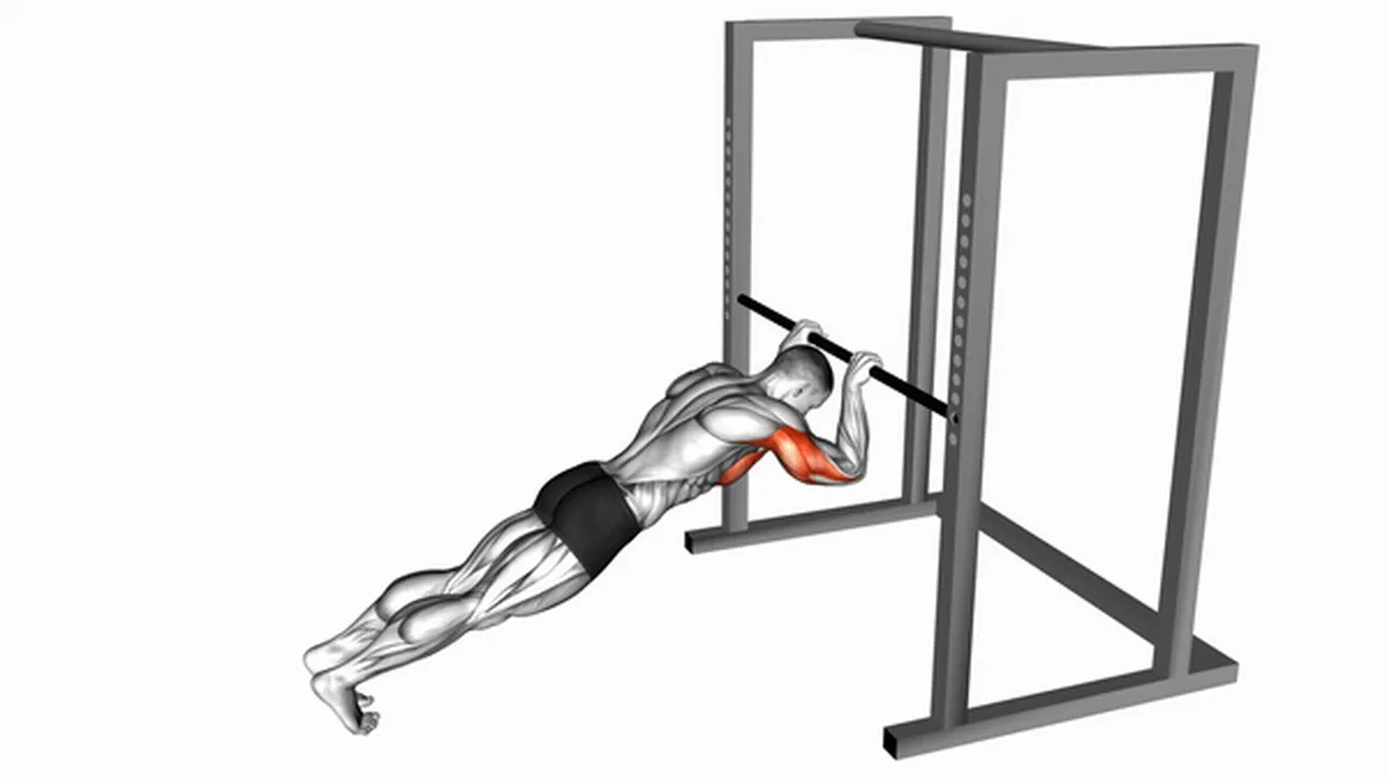 What are the benefits of Triceps Press? Image