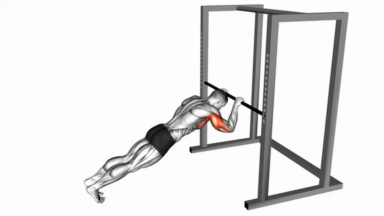 Common Triceps Press variations Image