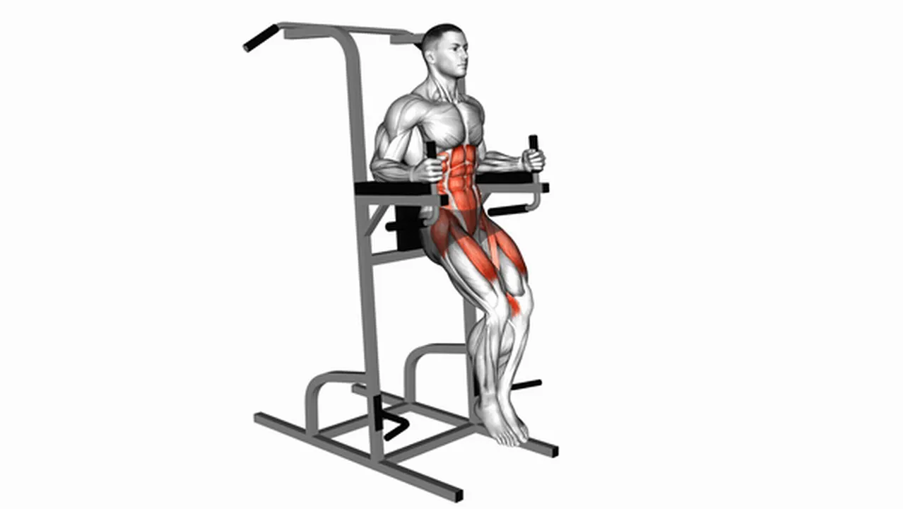 How to do Vertical Leg Raises? Image