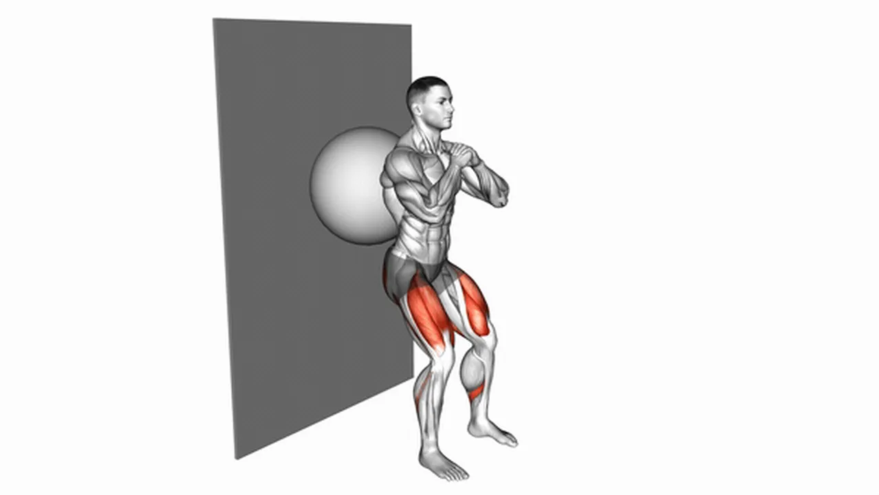 How to do Wall Squats with Exercise Ball? Image