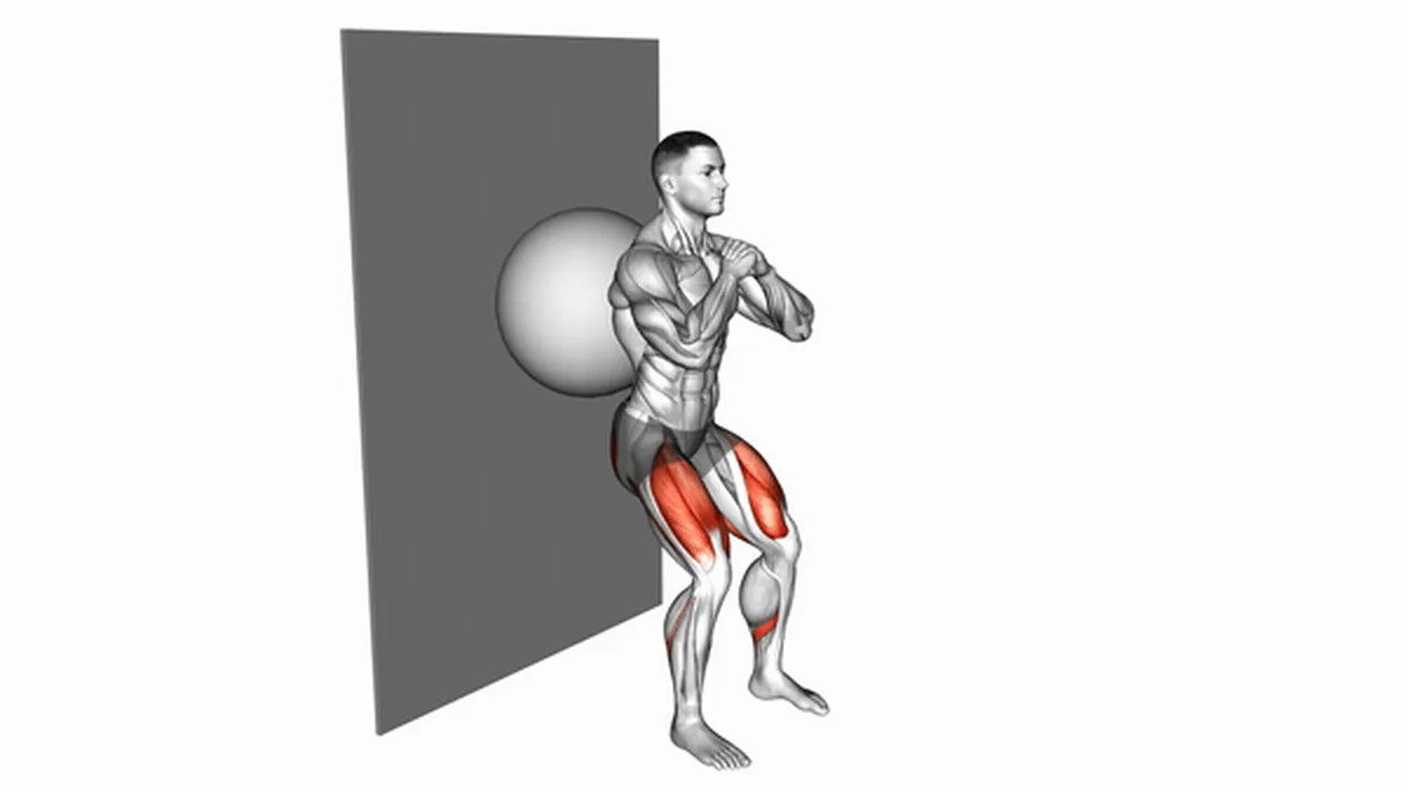 Variations of Wall Squats with Exercise Ball Image