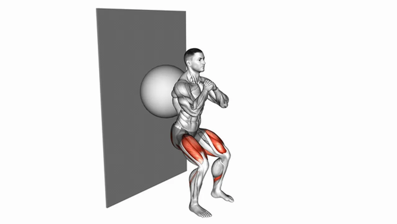 Alternatives to Wall Squats with Exercise Ball Image