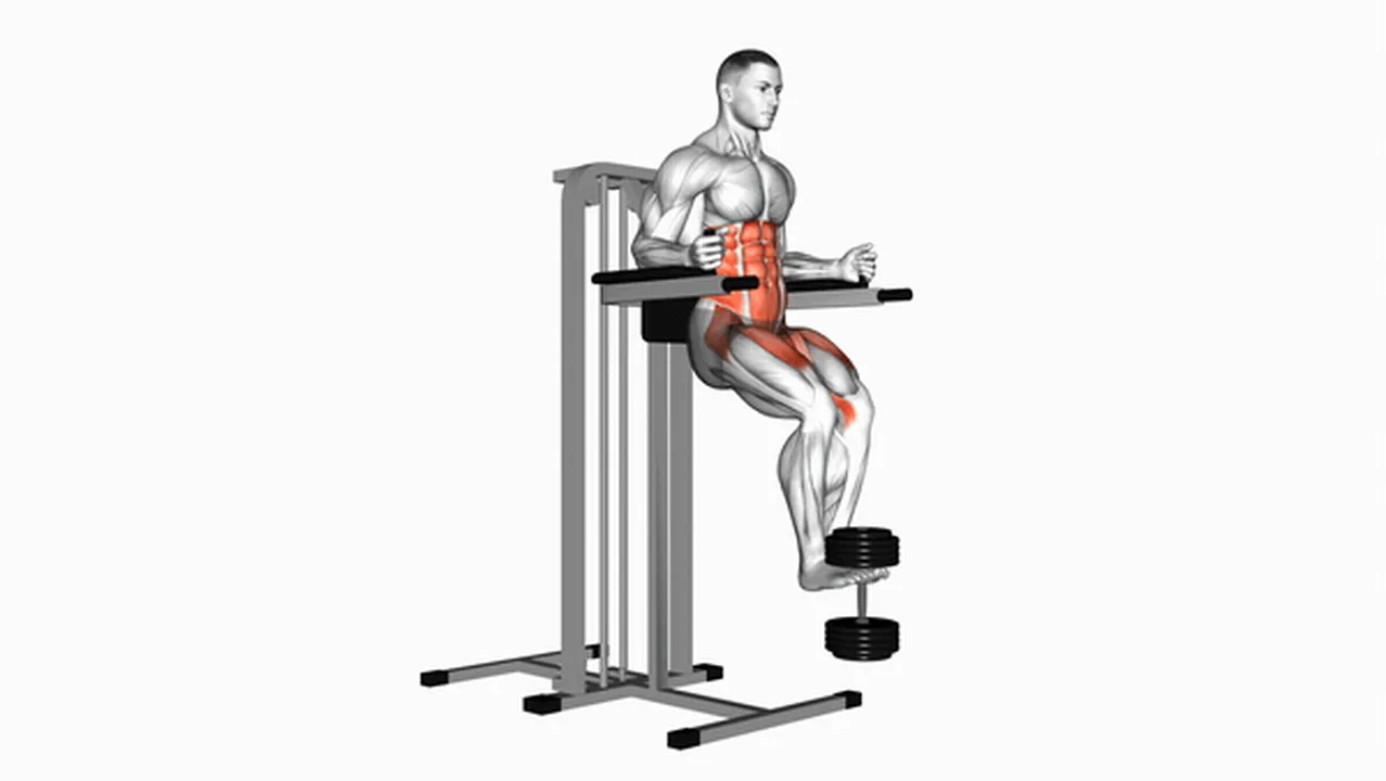 How to do Weighted Captain's Chair Leg Raises? Image