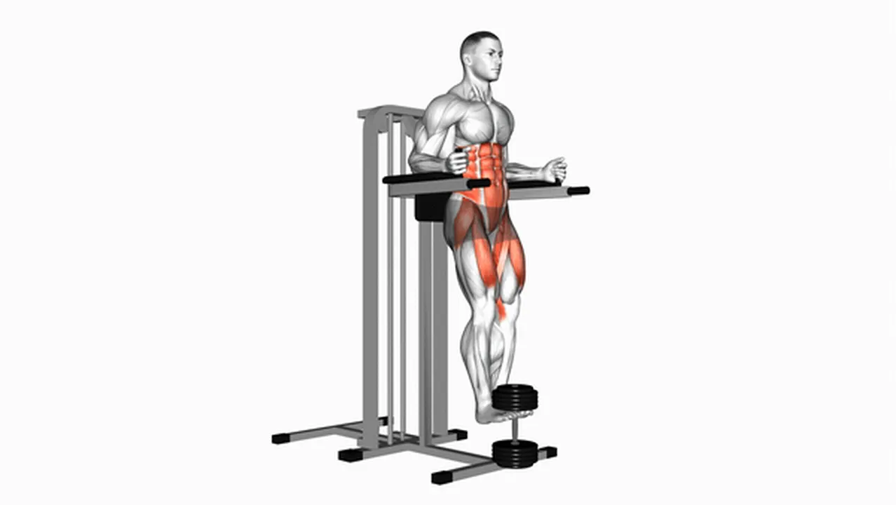 Alternatives to Weighted Captain's Chair Leg Raises Image