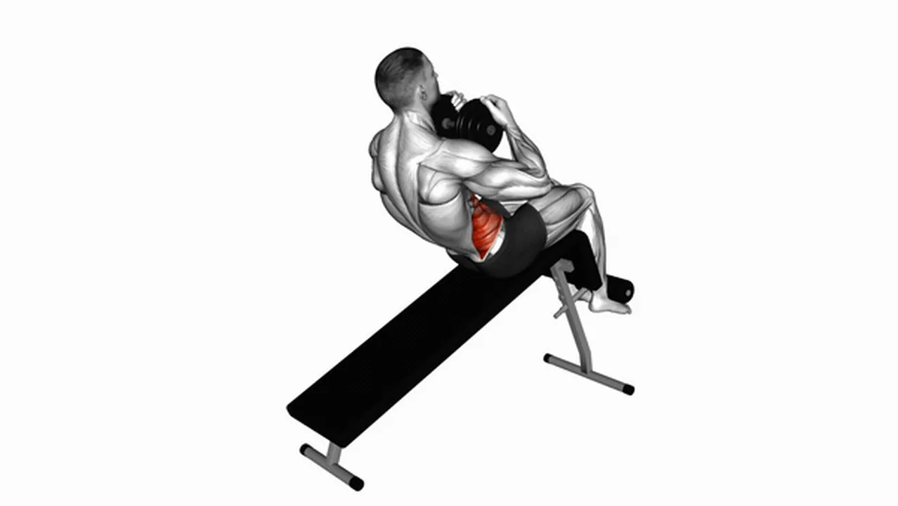 Common Weighted Decline Twist Sit-Up variations Image