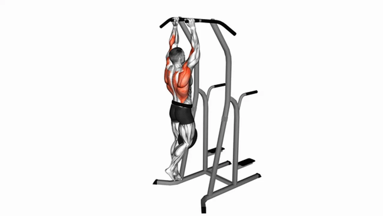 What are the benefits of Weighted Hammer Grip Pull-Ups? Image