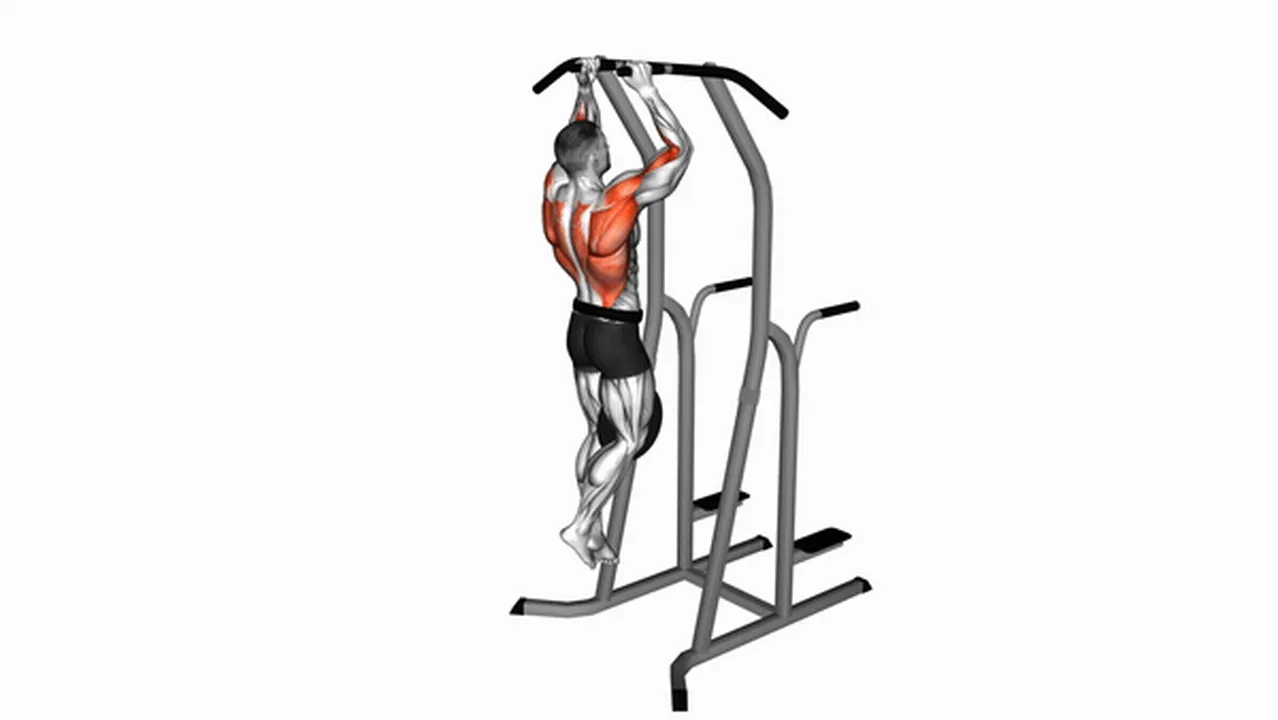 How to do Weighted Hammer Grip Pull-Ups? Image