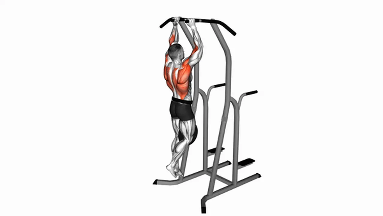 Common mistakes during Weighted Hammer Grip Pull-Ups Image