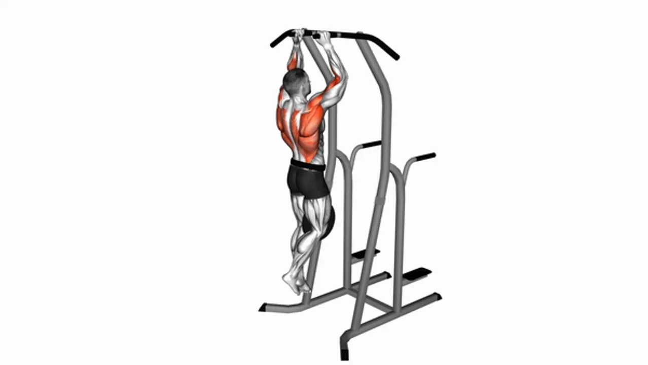 Weighted Hammer Grip Pull-Ups