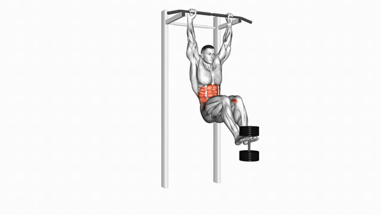 Alternatives to weighted hanging leg hip raises Image