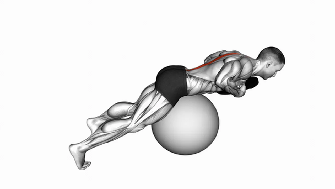 How to do weighted hyperextensions on a stability ball? Image