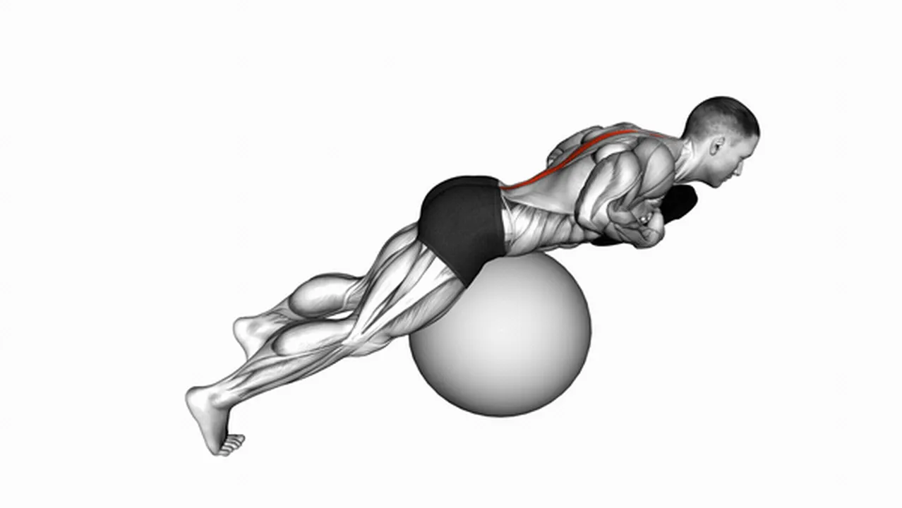 Common variations of weighted hyperextensions on a stability ball Image