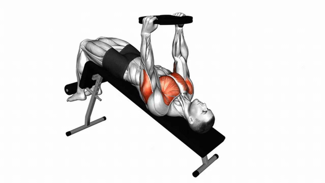 What are the benefits of the Weighted Plate Decline Chest Press? Image