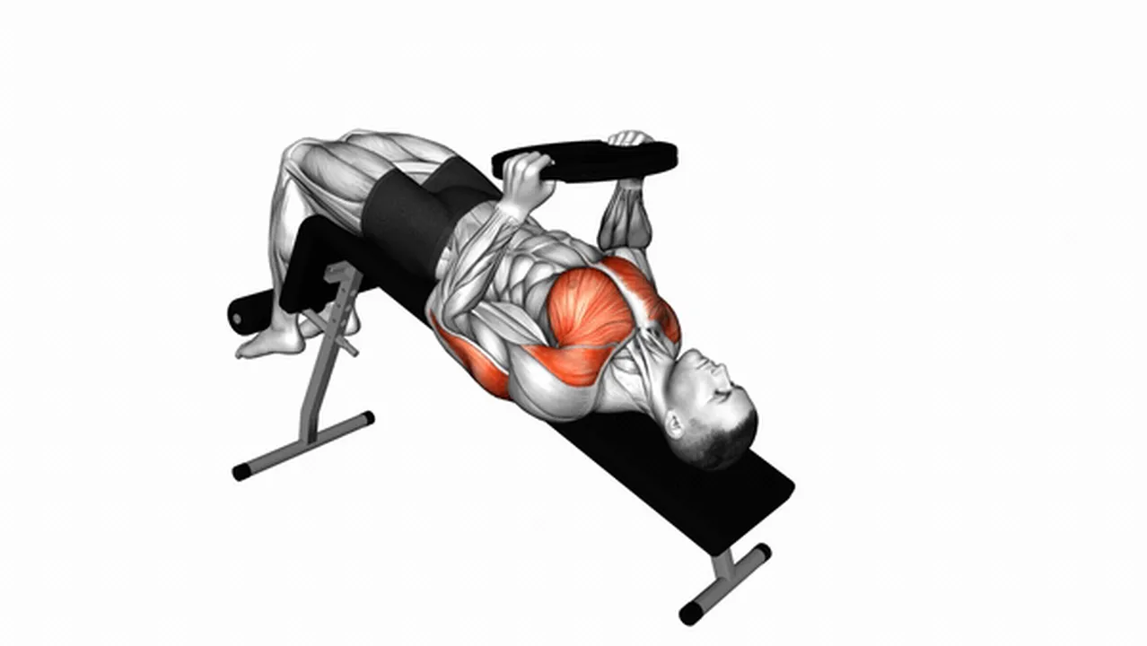 Alternatives to the Weighted Plate Decline Chest Press Image