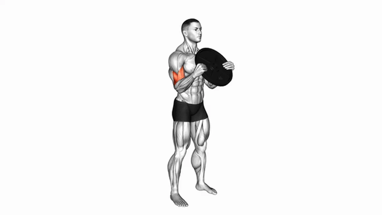 Common weighted plate standing biceps curl variations Image