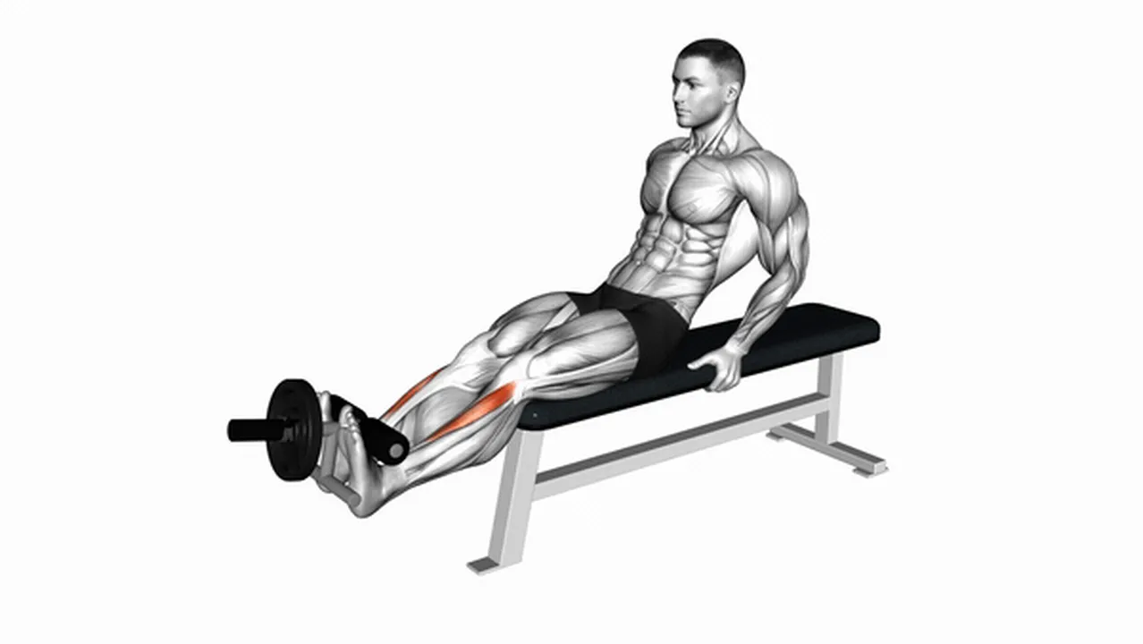 How to do Weighted Plate Tibialis Anterior Curls? Image