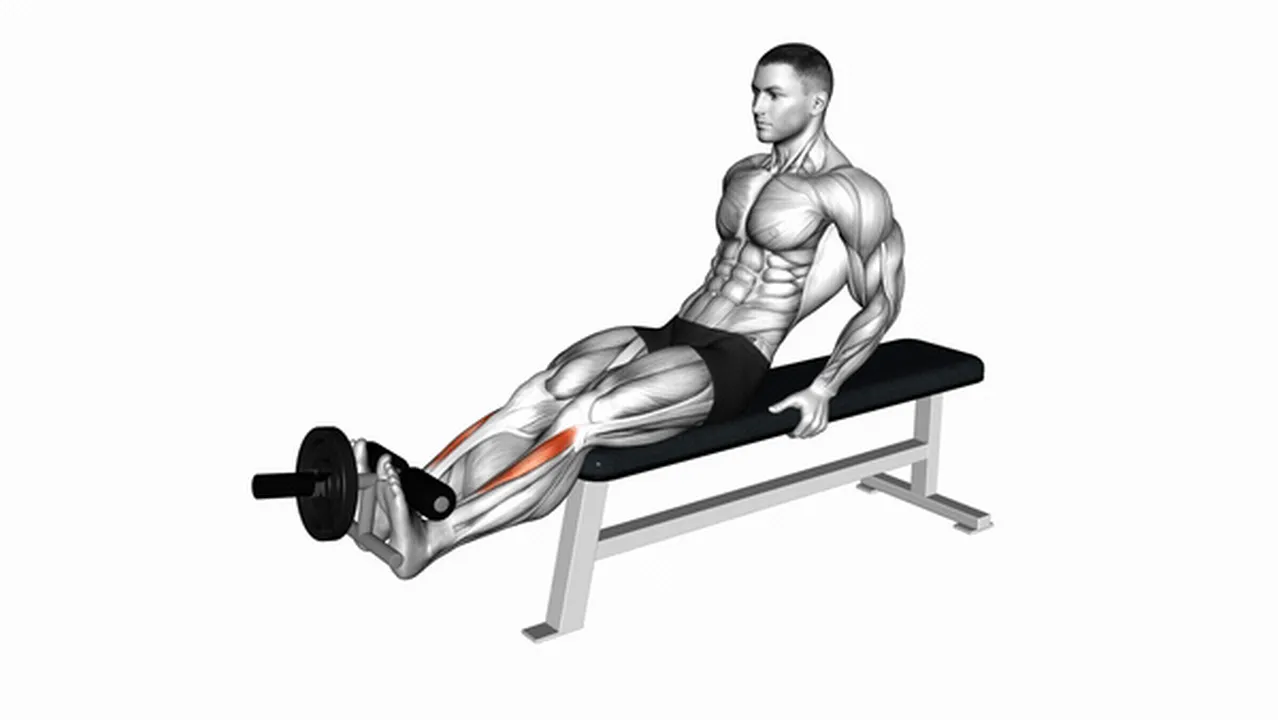 Common Weighted Plate Tibialis Anterior Curl variations Image