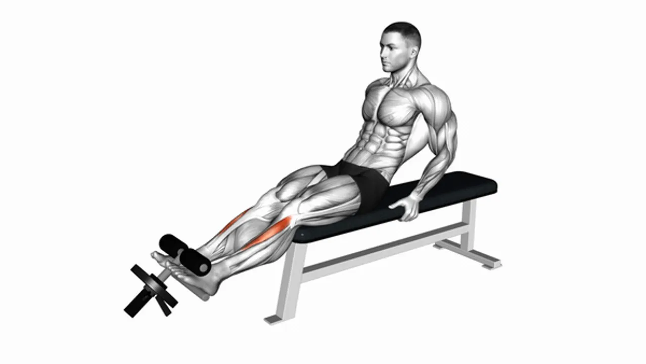 Weighted Plate Tibialis Anterior Curl