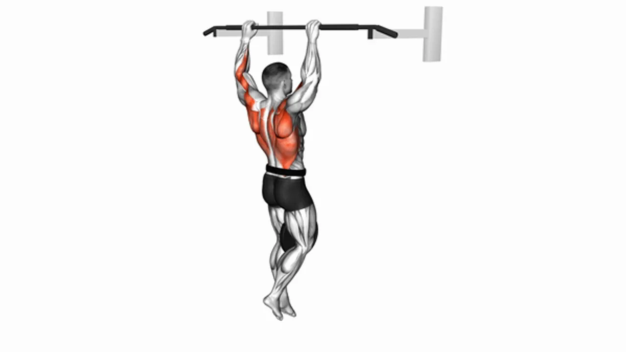 Weighted Pull-Ups