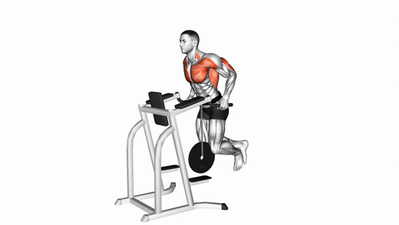 How to do weighted tricep dips? Image