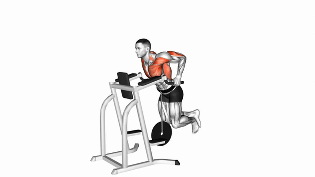 Variations of weighted tricep dips Image