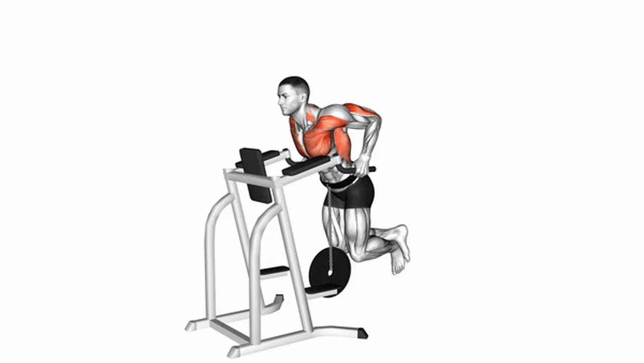 Alternatives to weighted tricep dips Image