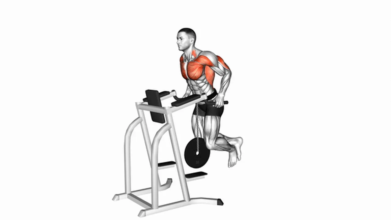 Common mistakes during weighted tricep dips Image