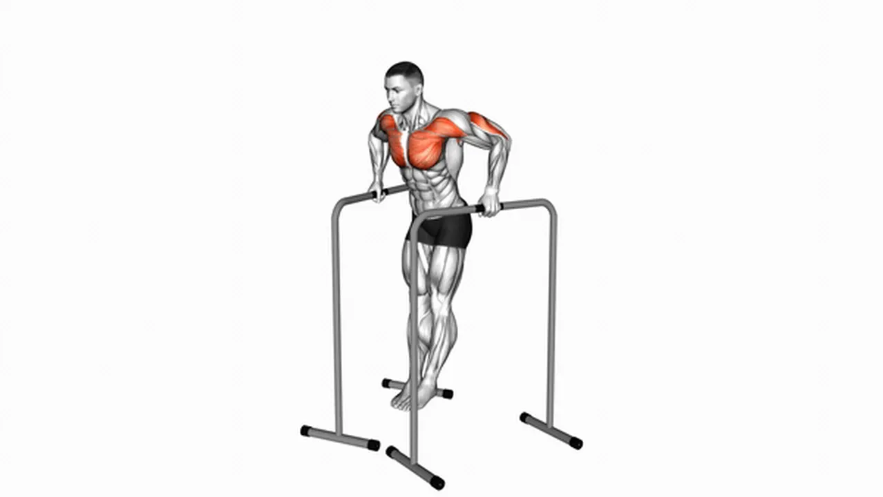 How to do wide grip chest dips? Image