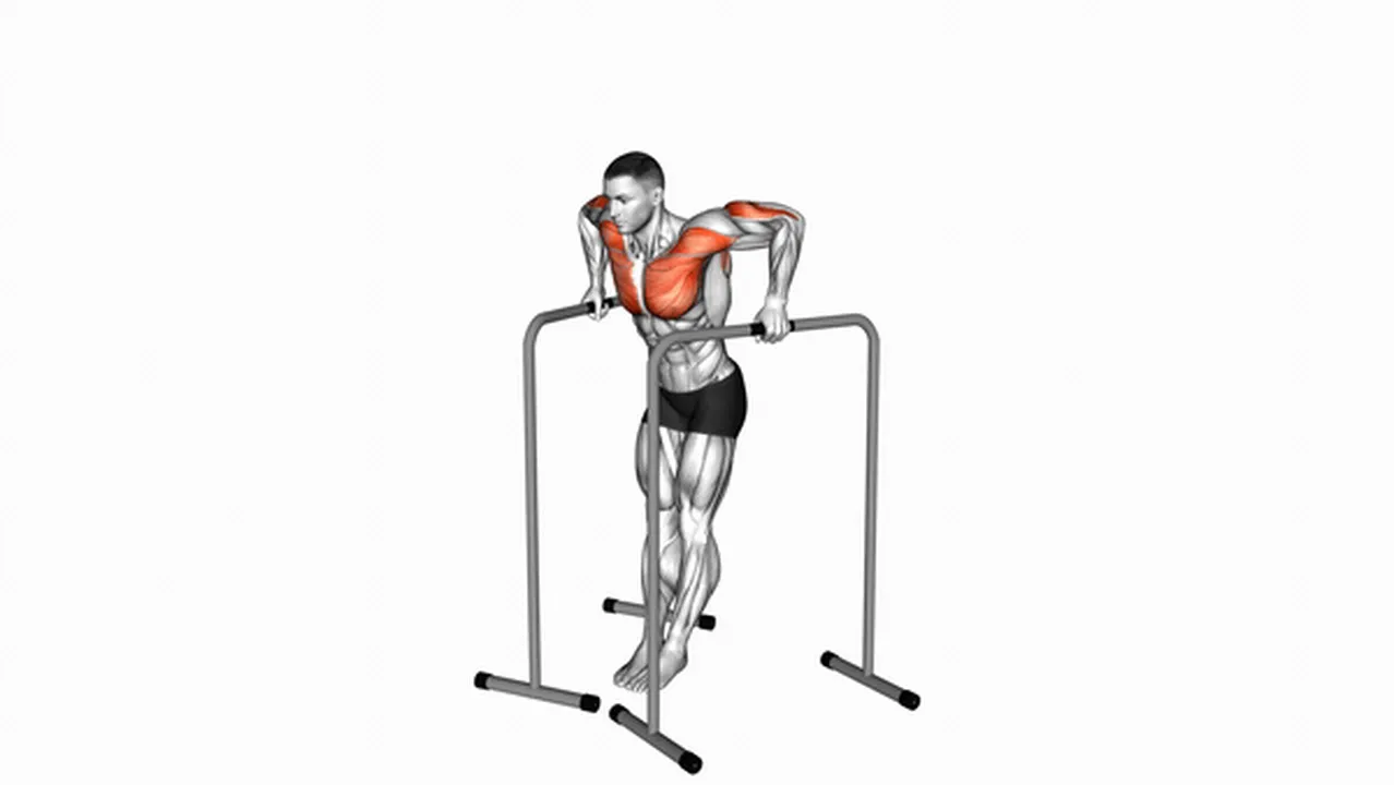 Alternatives to wide grip chest dips Image